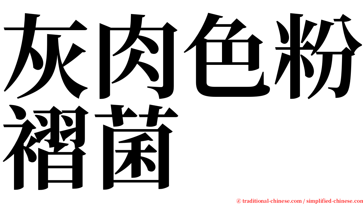 灰肉色粉褶菌 serif font