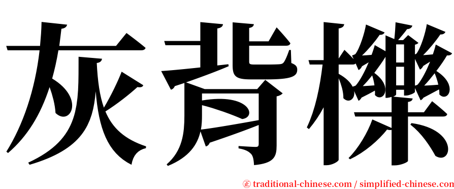 灰背櫟 serif font