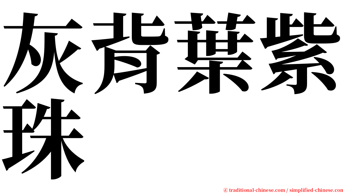 灰背葉紫珠 serif font