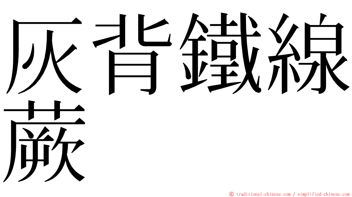 灰背鐵線蕨 ming font