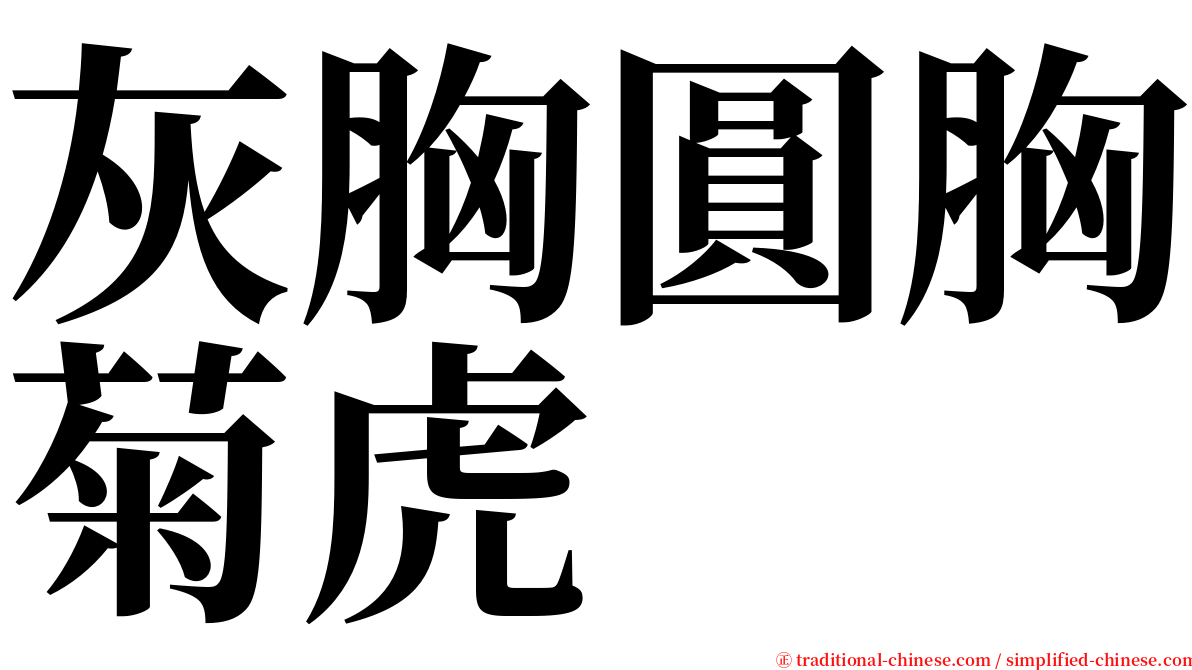 灰胸圓胸菊虎 serif font