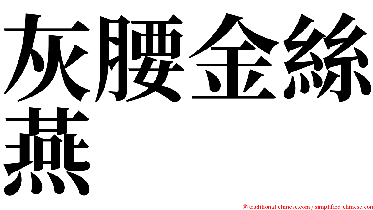 灰腰金絲燕 serif font