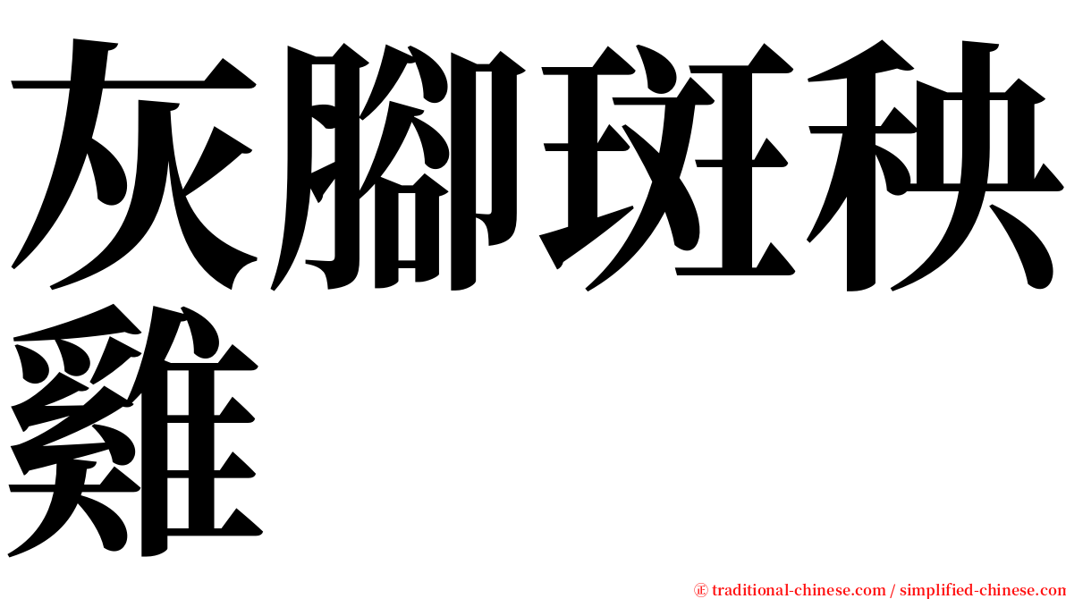 灰腳斑秧雞 serif font