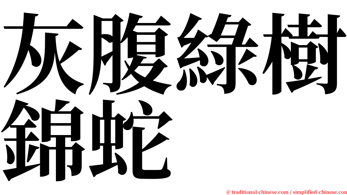 灰腹綠樹錦蛇 serif font