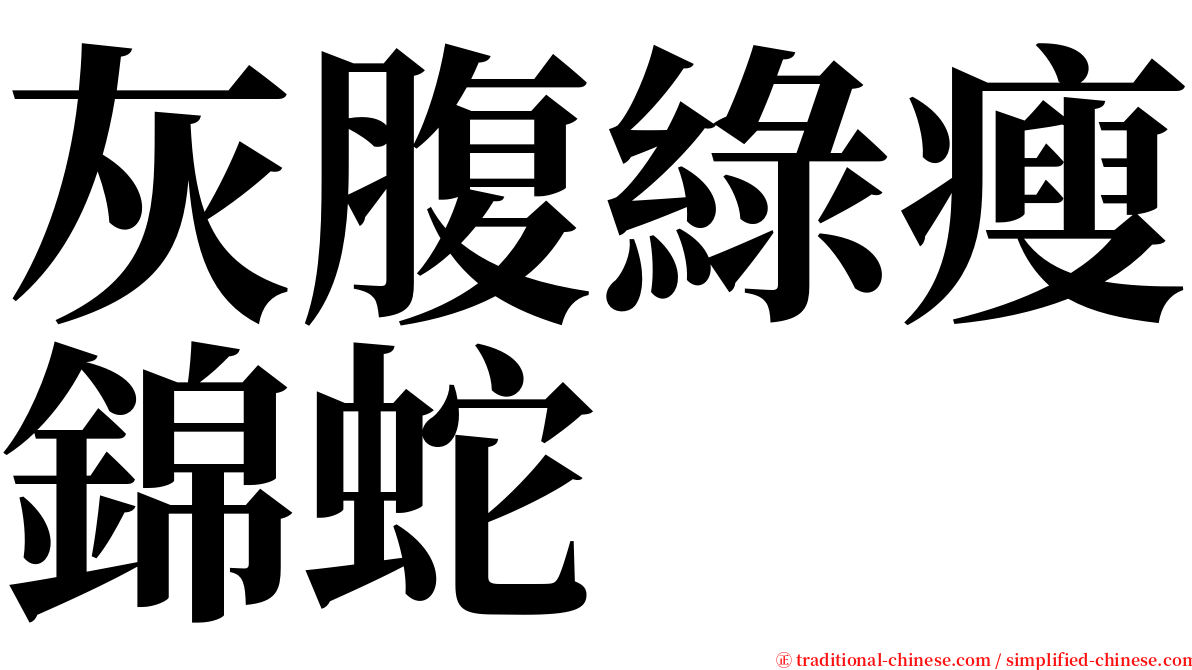 灰腹綠瘦錦蛇 serif font