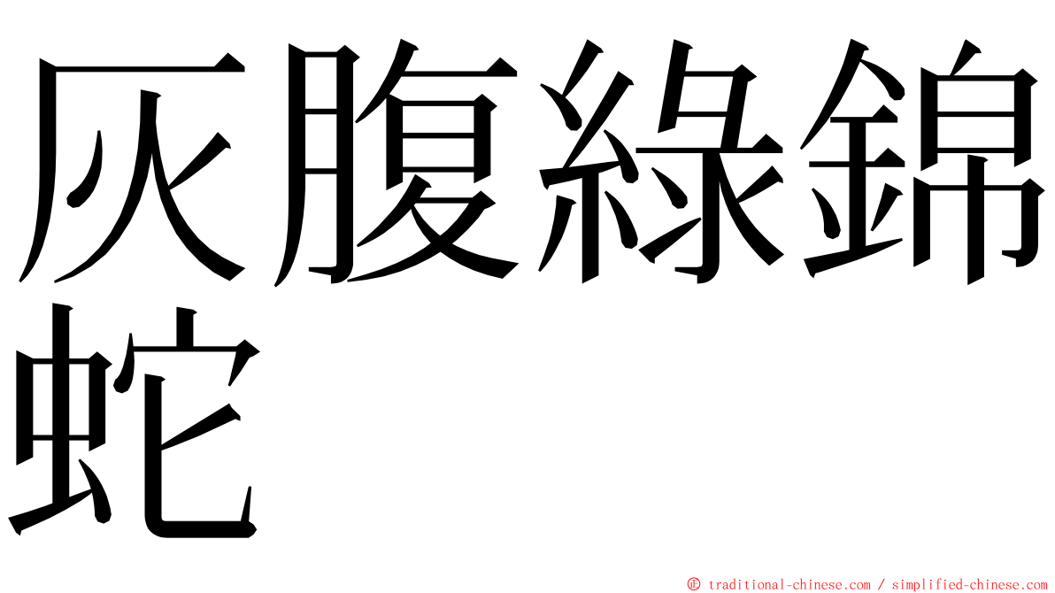 灰腹綠錦蛇 ming font