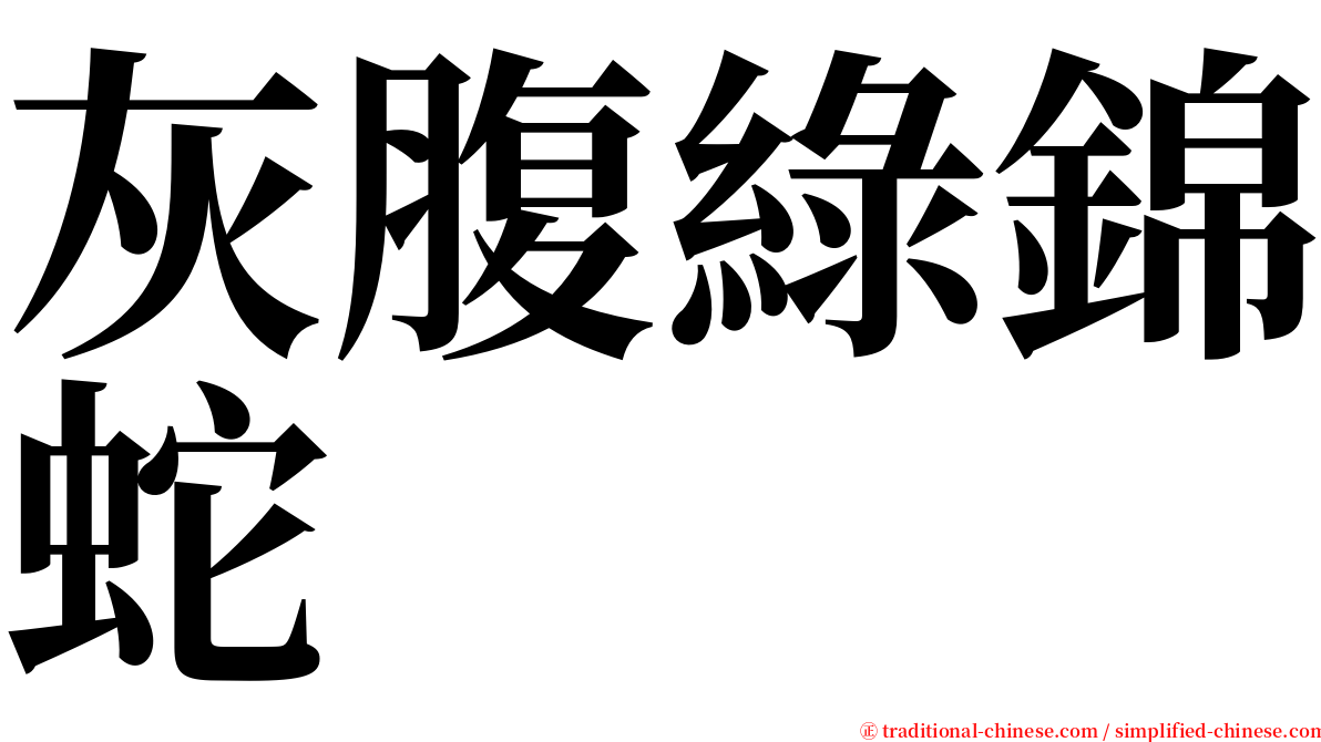 灰腹綠錦蛇 serif font