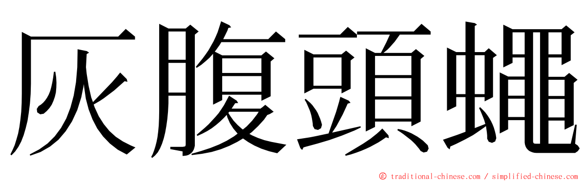 灰腹頭蠅 ming font