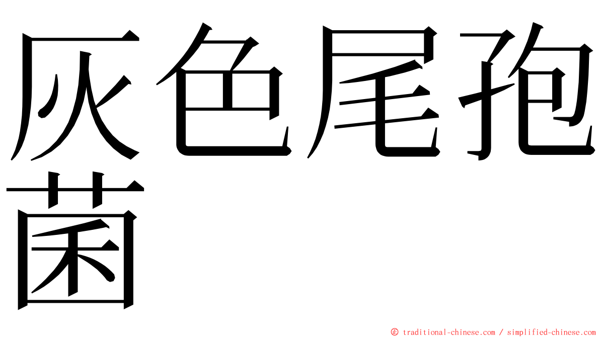 灰色尾孢菌 ming font