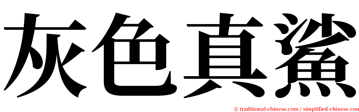 灰色真鯊 serif font