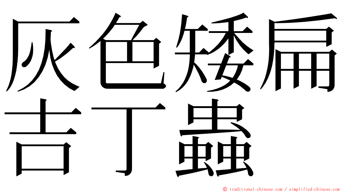 灰色矮扁吉丁蟲 ming font