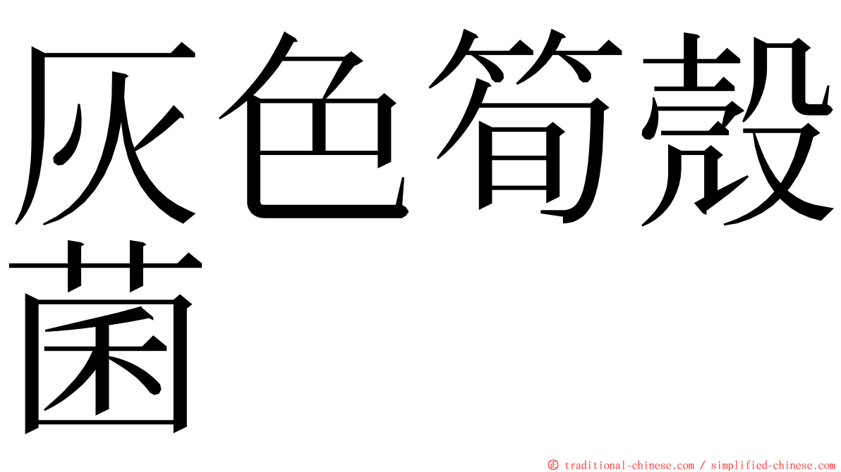 灰色筍殼菌 ming font