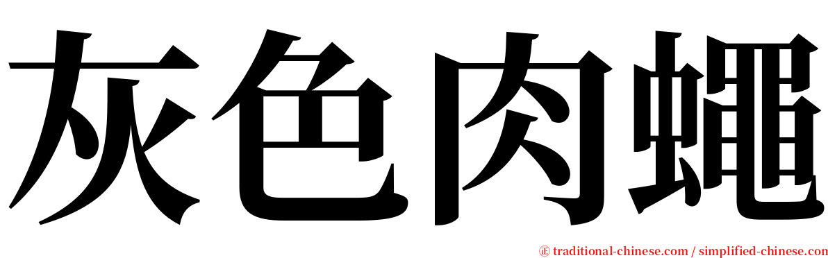 灰色肉蠅 serif font