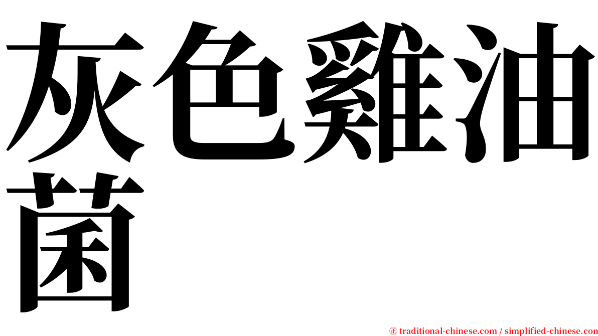 灰色雞油菌 serif font