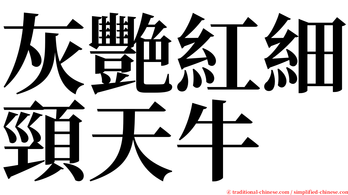 灰艷紅細頸天牛 serif font