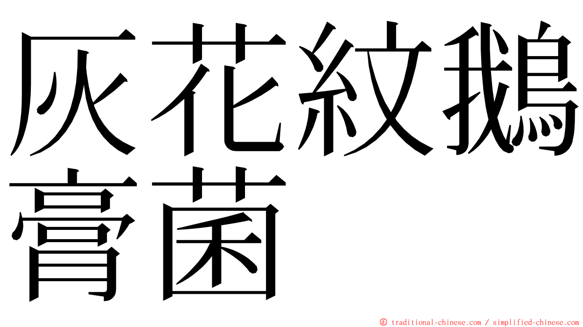 灰花紋鵝膏菌 ming font