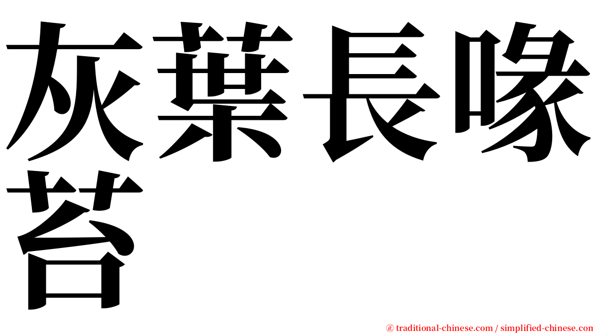 灰葉長喙苔 serif font