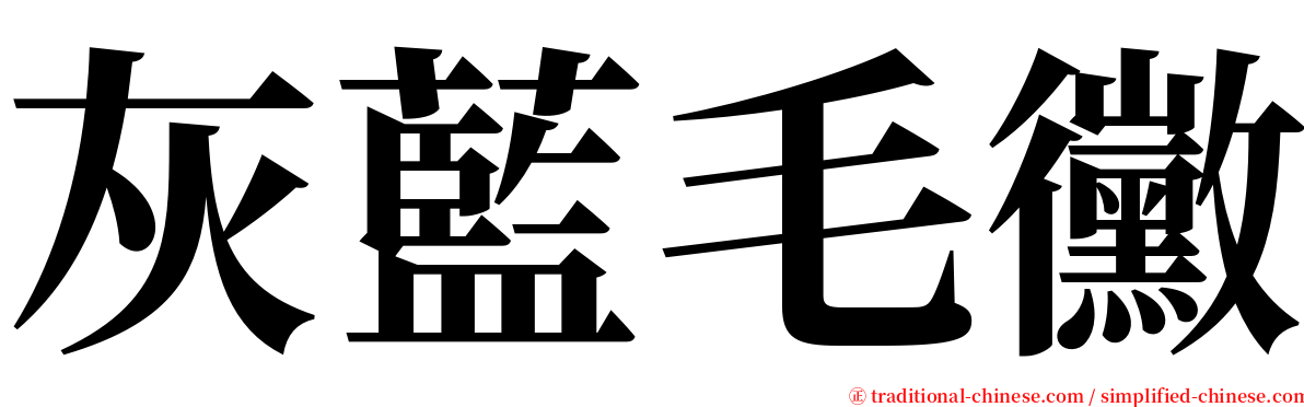 灰藍毛黴 serif font