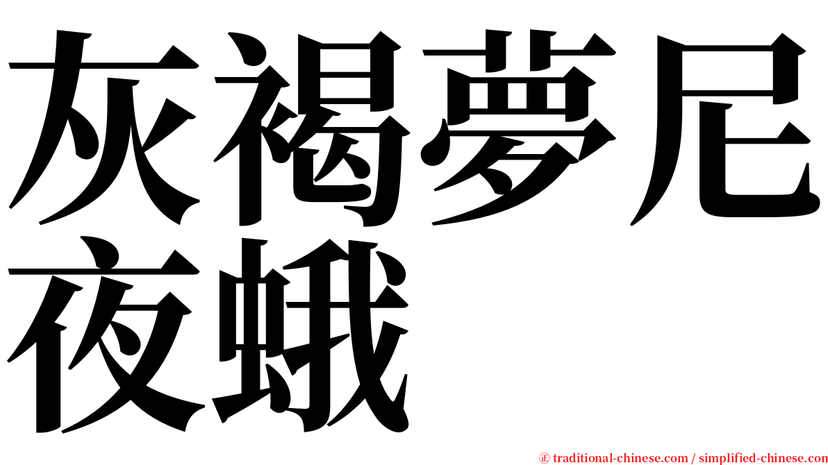 灰褐夢尼夜蛾 serif font