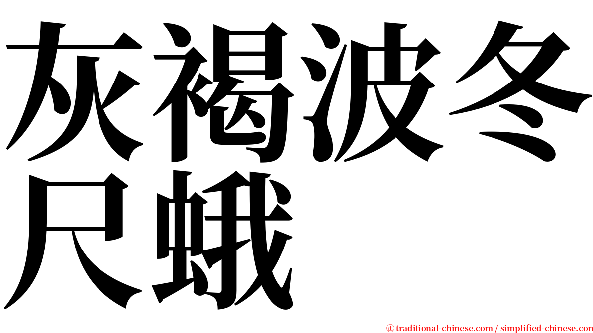 灰褐波冬尺蛾 serif font