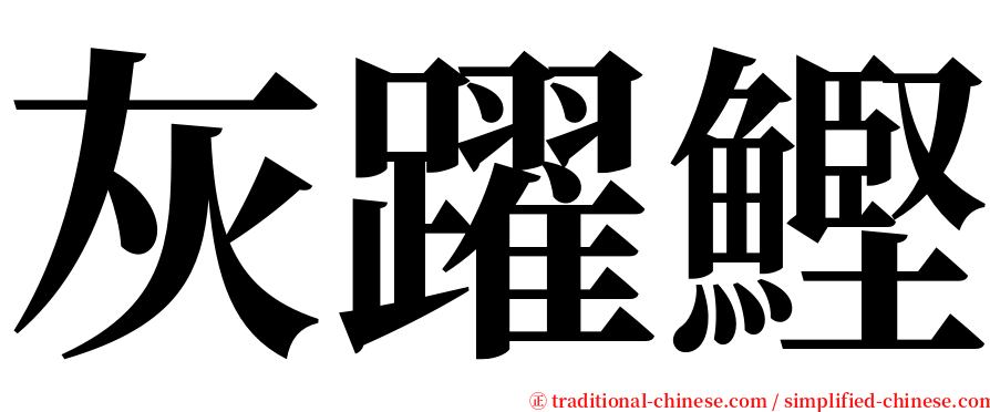 灰躍鰹 serif font