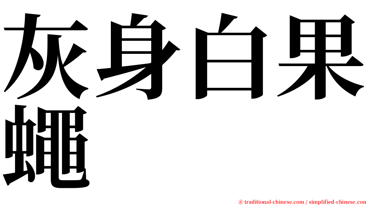 灰身白果蠅 serif font