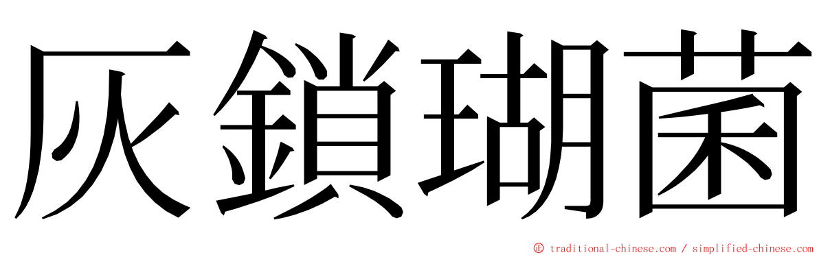 灰鎖瑚菌 ming font