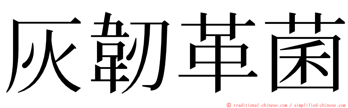 灰韌革菌 ming font