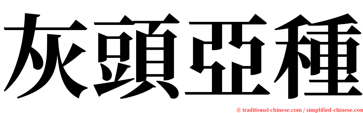 灰頭亞種 serif font