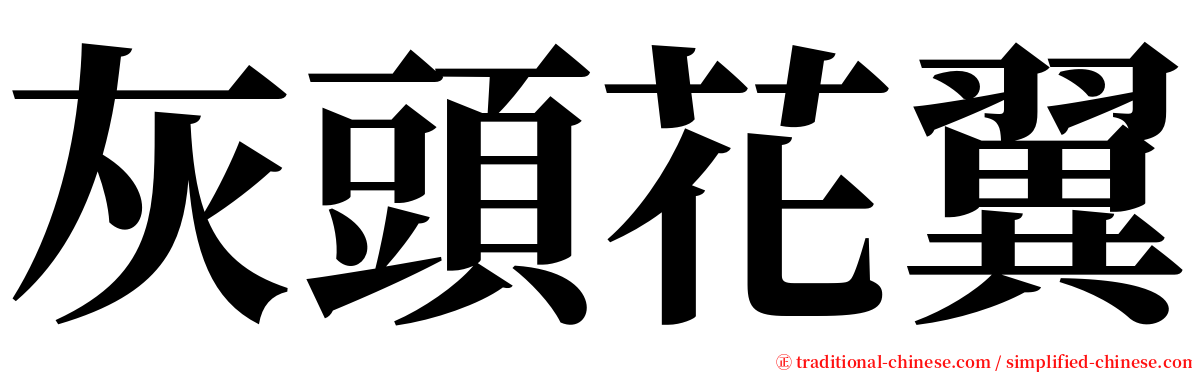 灰頭花翼 serif font