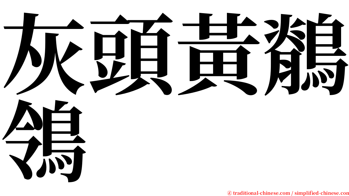 灰頭黃鶺鴒 serif font