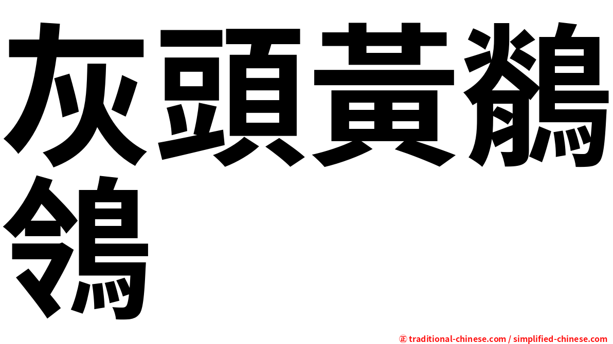 灰頭黃鶺鴒