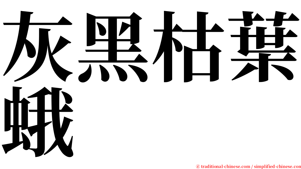 灰黑枯葉蛾 serif font