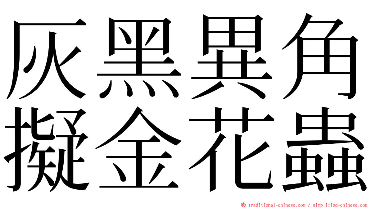 灰黑異角擬金花蟲 ming font