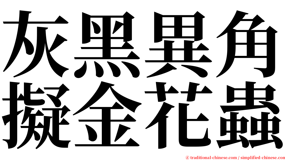 灰黑異角擬金花蟲 serif font
