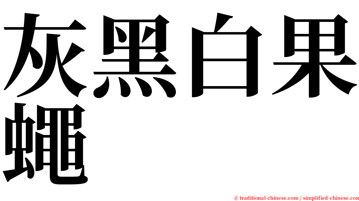 灰黑白果蠅 serif font