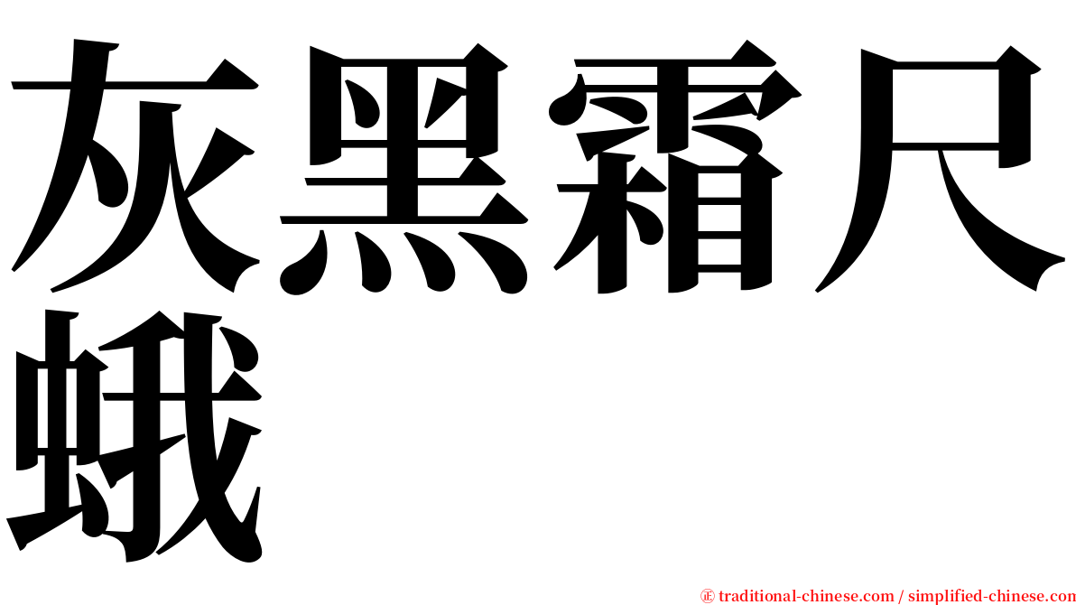 灰黑霜尺蛾 serif font