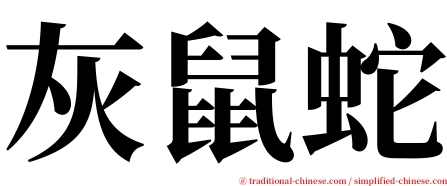 灰鼠蛇 serif font