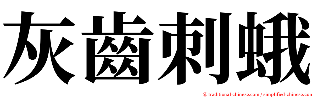 灰齒刺蛾 serif font