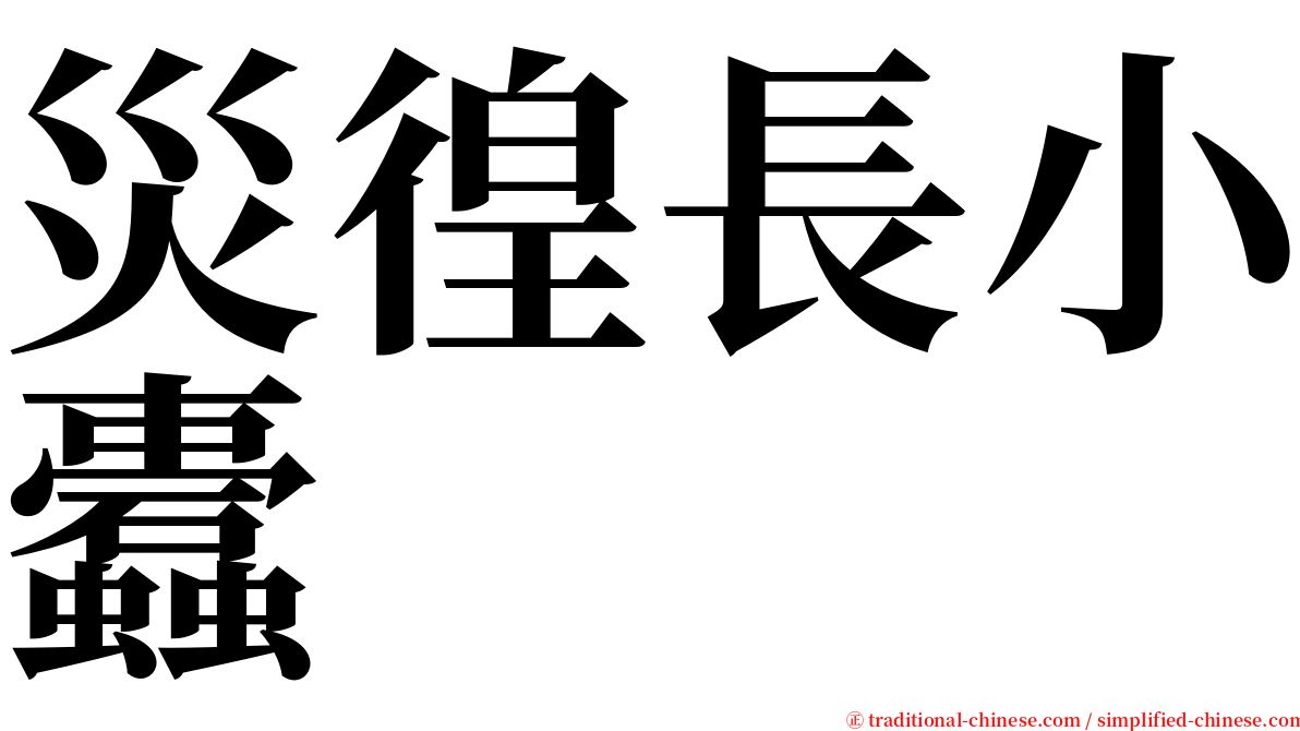 災徨長小蠹 serif font