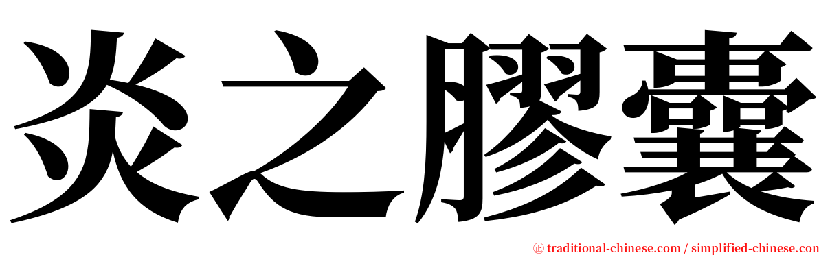 炎之膠囊 serif font