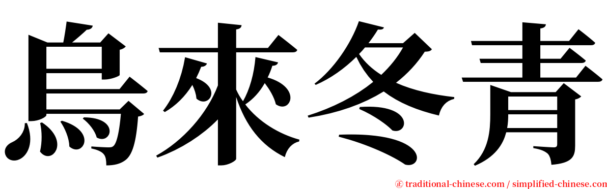 烏來冬青 serif font