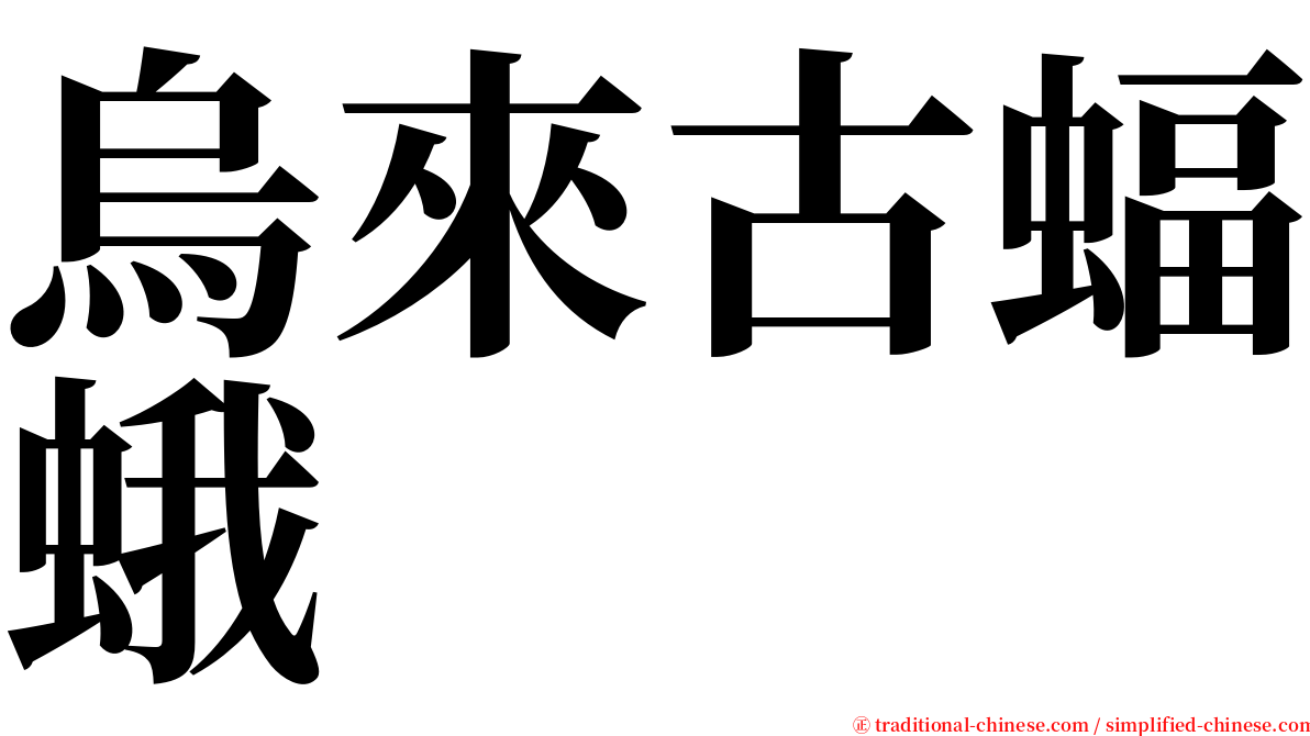 烏來古蝠蛾 serif font