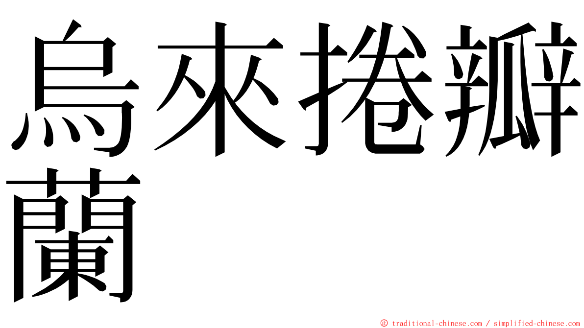 烏來捲瓣蘭 ming font