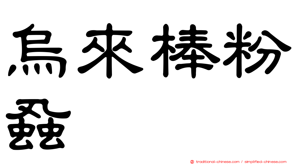 烏來棒粉蝨