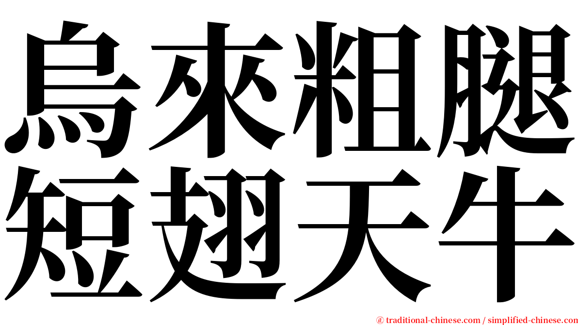 烏來粗腿短翅天牛 serif font