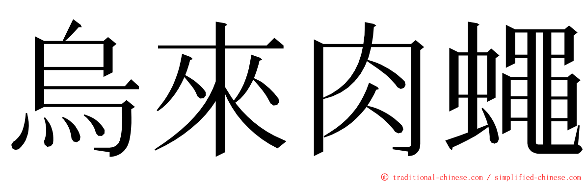 烏來肉蠅 ming font