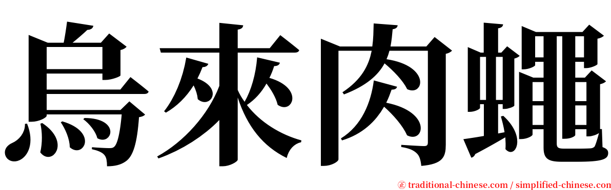 烏來肉蠅 serif font