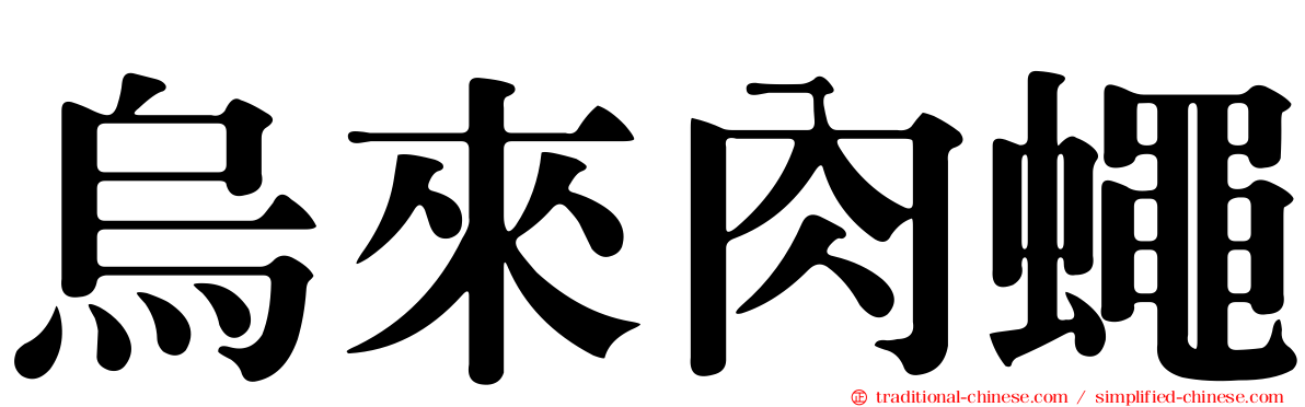 烏來肉蠅