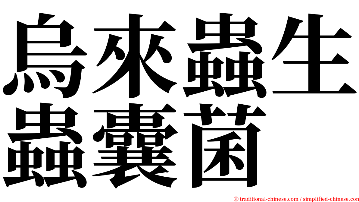 烏來蟲生蟲囊菌 serif font